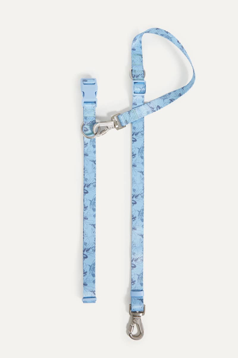 Bridgerton x maxbone Dog Walk Set